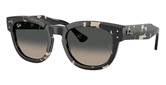 Ray-Ban RB0298S MEGA HAWKEYE